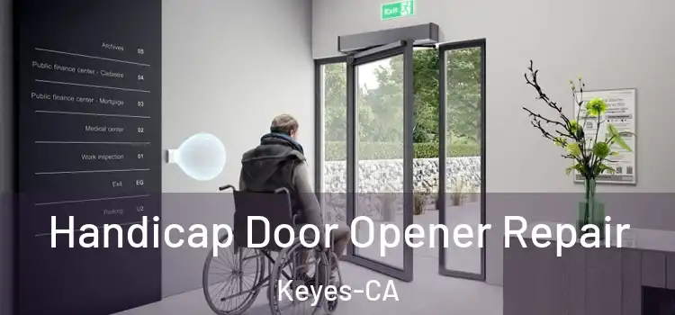  Handicap Door Opener Repair Keyes-CA