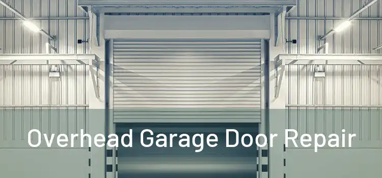  Overhead Garage Door Repair 